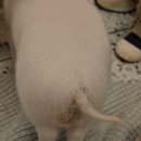 뽑기24시 이미지