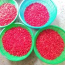 앵두목장 이미지