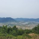 창환농장 티스토리