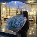 카페헤쎄드 | 창원 도계동 꽃집 헤쎄드 플라라 (hessed flala flower shop), 기념일 꽃다발 & 꽃바구니