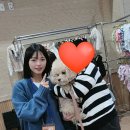 청운펫