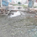 대천목욕탕 이미지