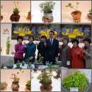 풀잎약초