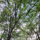 관음노인대학 | 서울 - 달마사