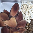 무궁화한의원 이미지