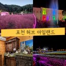 GS25허브아일랜드점 | 가을 경기도 가볼만한곳 핑크뮬리 가득 포천허브아일랜드