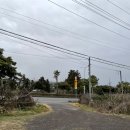 양이주택 게스트하우스 | 서귀포 감성숙소 추천 스르르 게스트하우스 분지에 위치한 뷰깡패 조식 맛집