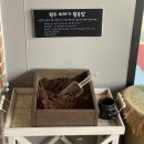 바까날레 - 서산시 율지19길 47-1 | [서산 바까날레] 서산 카페 방문 후기