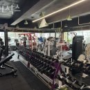 팀비식스 이미지