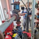 당미그린 이미지