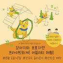 롤로파티 이미지
