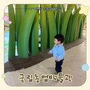 북문어린이집 | 국립농업박물관 어린이박물관 후기｜수원 아이랑 가볼만한 곳 무료 실내체험