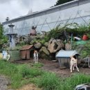 강정씨빌리지 이미지