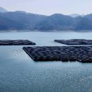 용수리태양광발전소 이미지