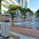 정관 8호광장 중앙공원 앞 이미지