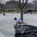 수양시장 | 거창 월성오토캠핑장 수양벚꽃, 제철먹방, 먹부림 제대로 하고 월성계곡 입수한 봄날