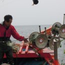 유영목장 이미지