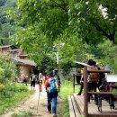 국골민박 이미지