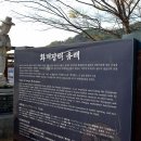 토지장터 이미지