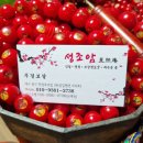 성조암 - 594 | 대구칠곡점집 추천, 이유없이 아픈아이의 원인을 찾아준 성조암무경보살