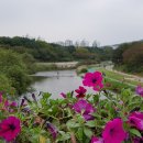 죽현경로당 이미지