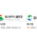 주정차 단속 - 051 이미지