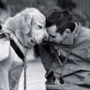 따뜻한 on동물병원 이미지