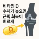 비타민 D 수치와 근력 회복: 무릎 전방십자인대(ACL) 수술 환자 연구. 이미지