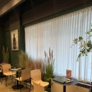 드라마성형외과의원 - 강남구 강남대로 560 | 드라마성형외과의원