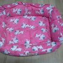 오드그 | 오도그 체험단)우리 러키 방석 당첨 됬어요!!