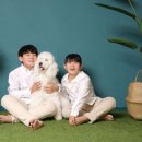 스튜디오숲속엔 이미지