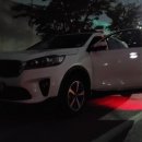 그린카마스타 이미지