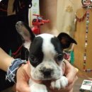 베이비쿠 이미지