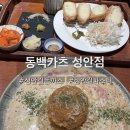 동백카츠 | 청주 성안길 맛집 동백카츠 성안점 돈까스 파스타 후기