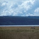 구름정원 이미지