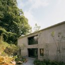 스테이 하시 이미지