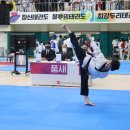 용인대 수석태권도장 이미지