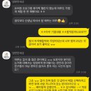 댕편한세상 이미지