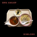 와가야노토마토 | [망원동 토마토라멘] 성산동 와가야노토마토 혼밥 내돈내산 후기