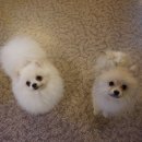 개편한세상 이미지