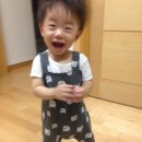 베베루스