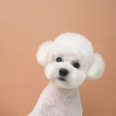 나봄스파 이미지