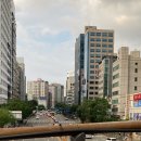 홍대땡땡거리 네이버블로그
