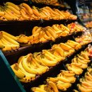 제주의료원부속요양병원 이미지