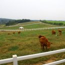 광시 목장 이미지