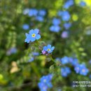 다복국제 행정사사무소 이미지