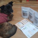 바른멍쿡 이미지