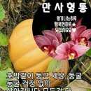 토