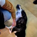 마리앤쥬 이미지