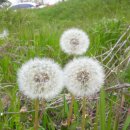 홀뫼민박 이미지